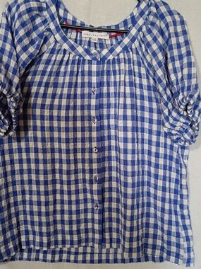 Blue and White Gingham Button-Front Blouse by Jane Delaney